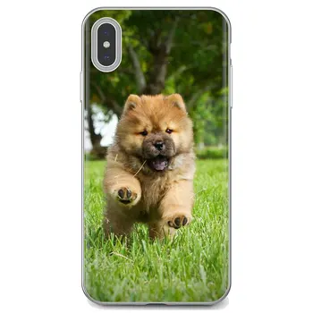Чау-Чау кученце кучето е животно Плакат за Samsung Galaxy Note 3 4 5 8 9 S3 S4 S5 Мини S6 S7 Край S8 S9 S10 Плюс Силиконова Капачка на Черупката